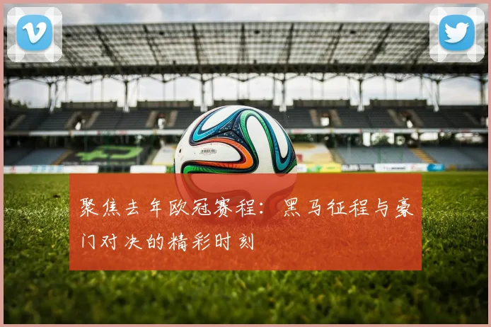 聚焦去年欧冠赛程：黑马征程与豪门对决的精彩时刻