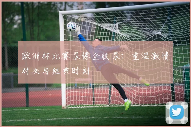 欧洲杯比赛录像全收录：重温激情对决与经典时刻