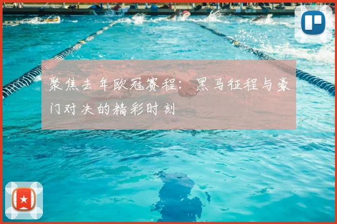 聚焦去年欧冠赛程：黑马征程与豪门对决的精彩时刻