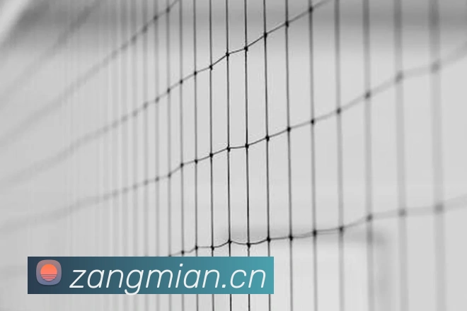 开云官方登录服务体系